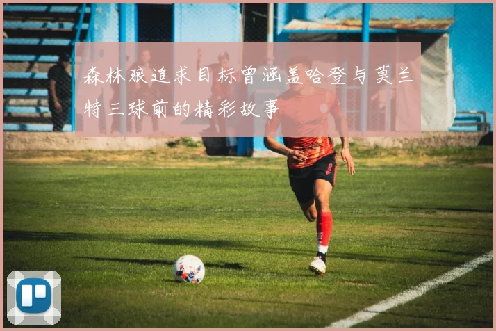 森林狼追求目标曾涵盖哈登与莫兰特三球前的精彩故事